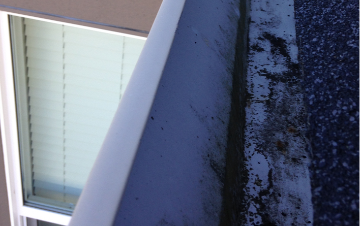 Langford BC cleaned gutter system
